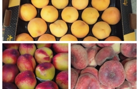 ¡Descubre el sabor del verano con Frutas La Juaida! 